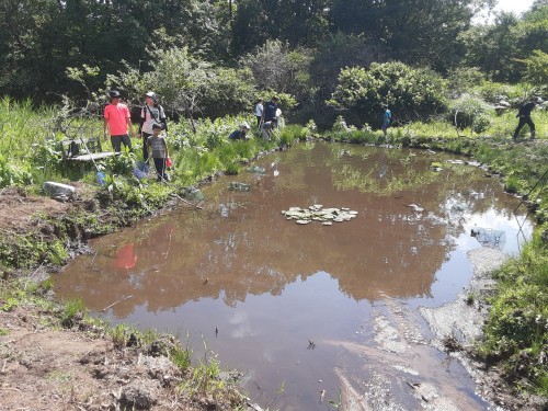 ９－２　ビオトープは、トンボとメダカと子どもたちを呼びました7